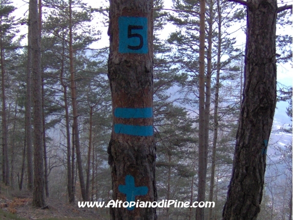 Segni negli alberi