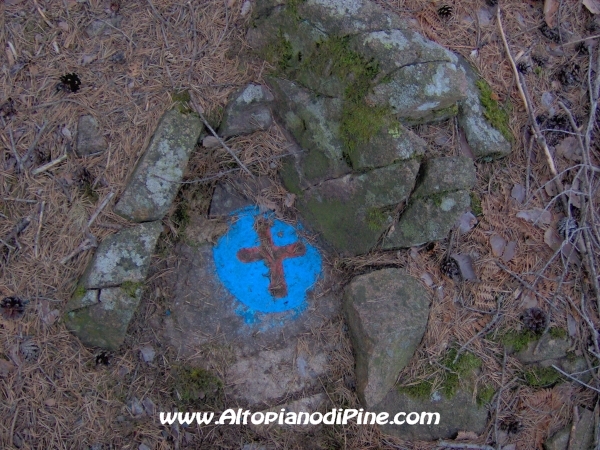 Segni negli alberi