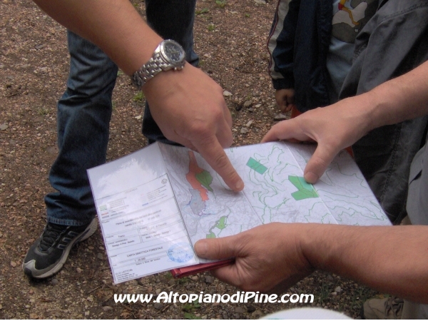 Uno sguardo alla carta sinottica forestale per capire dove andare