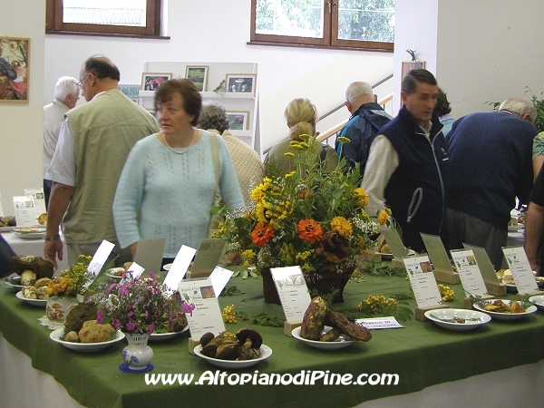 La gente in visita alla mostra