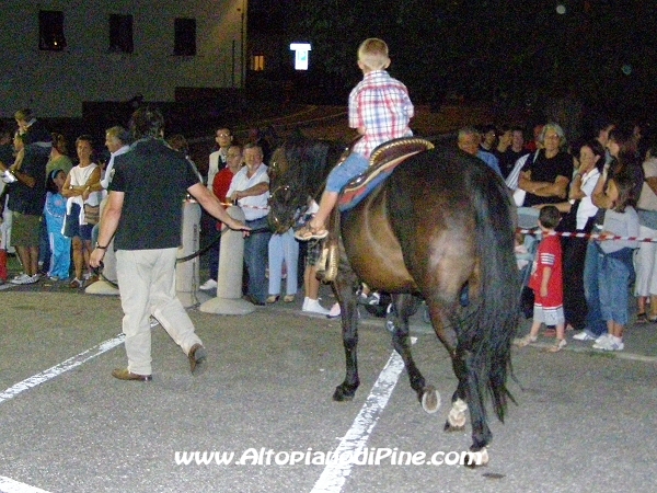 A passeggio con i cavalli