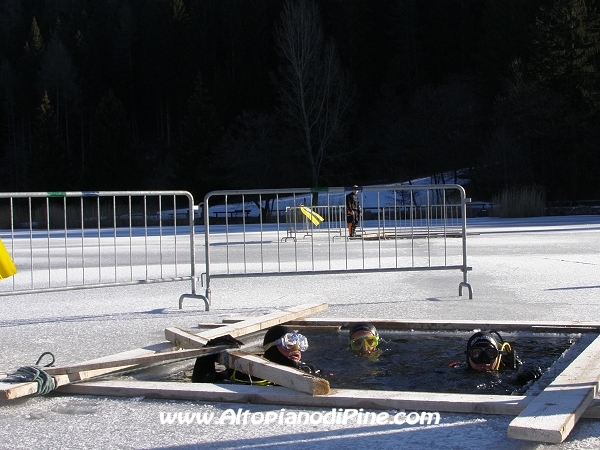 Alcuni momenti delle immersioni sottoghiaccio