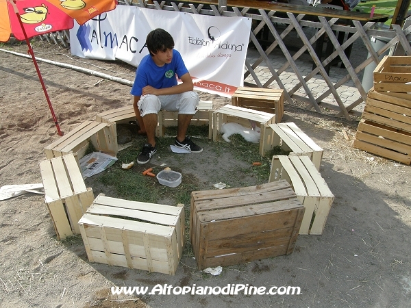 Gioco del Coniglio - Sagra San Rocco 2009 