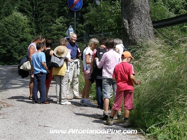 Passeggiata con l'erborista dott. Morelli - giugno 2009