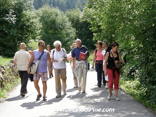 Passeggiata con l'erborista dott. Morelli - giugno 2009