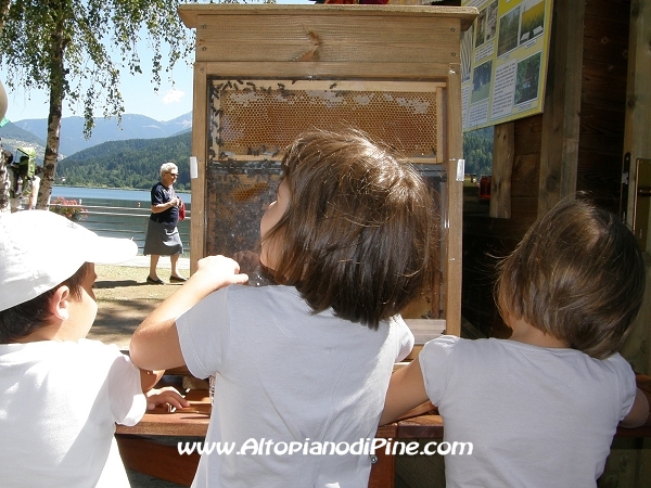 Le api al lavoro ed i bambini curiosi - Mattinee sul Lago 2010