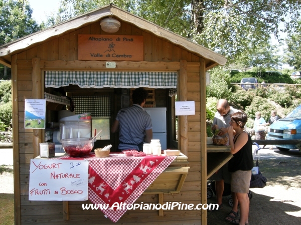 Mattinee sul Lago 2010