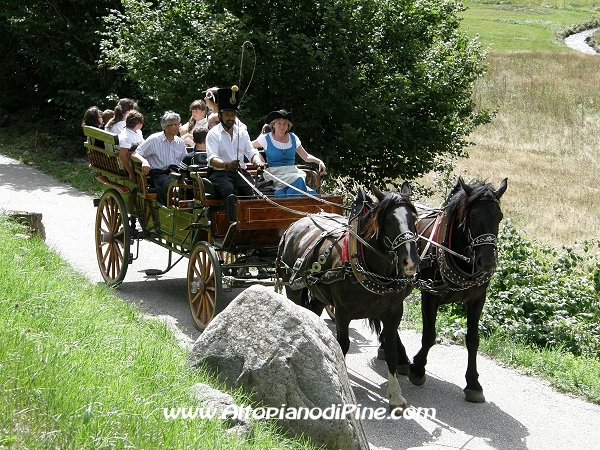 Rievocazione storica battaglia tra truppe Francesi e Austrotirolesi - 28 agosto 2010