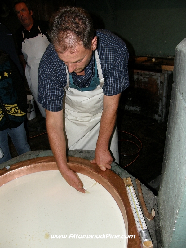 La cagliata  pronta - Sagra dei Malgari 2010