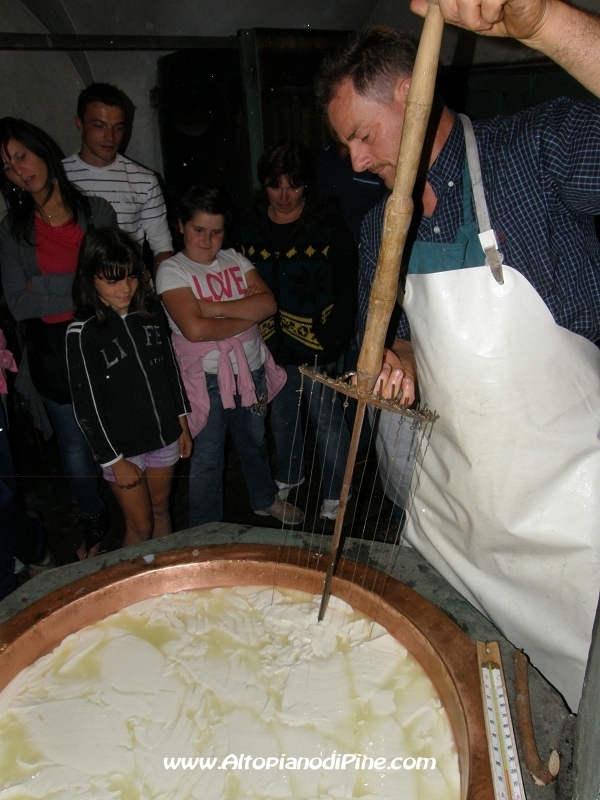 Frammentazione della cagliata - Sagra dei Malgari 2010