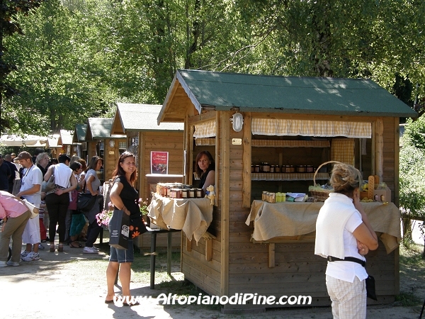 Mattinee sul Lago 2011