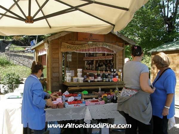 Mattinee sul Lago 2011