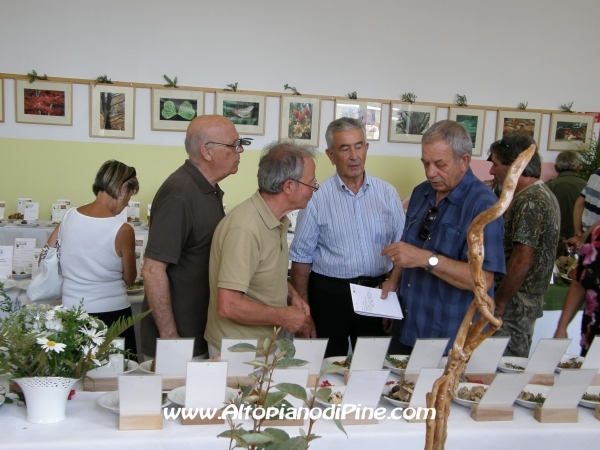 Mostra dei Funghi 2011