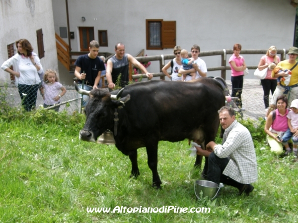 Sagra dei Malgari 2011