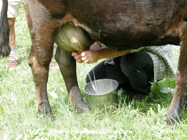 Sagra dei Malgari 2011