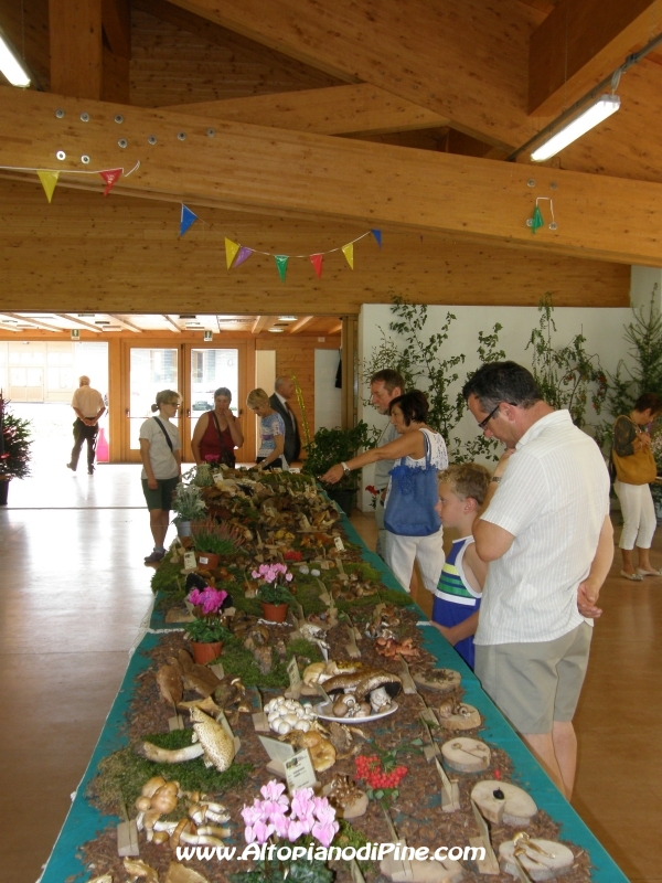 Mostra funghi, fiori e piante delle nostre montagne 2012