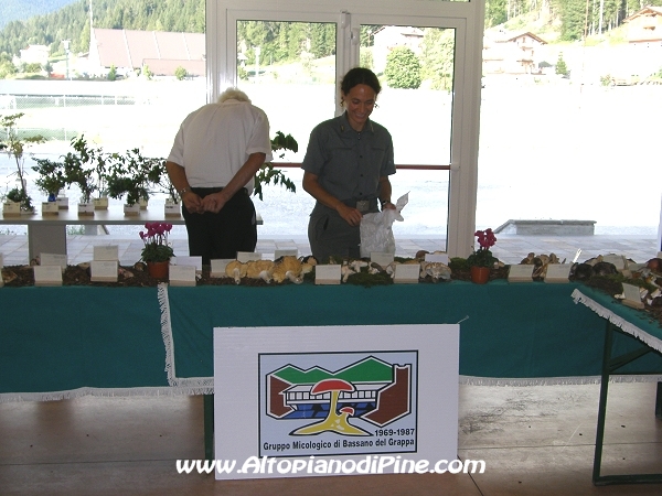 Mostra funghi, fiori e piante delle nostre montagne 2012