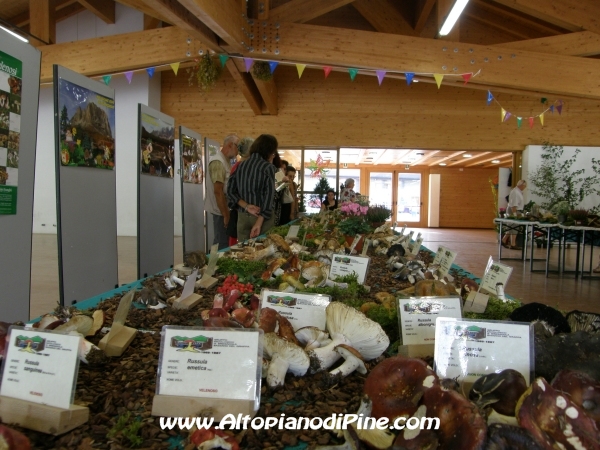 Mostra funghi, fiori e piante delle nostre montagne 2012