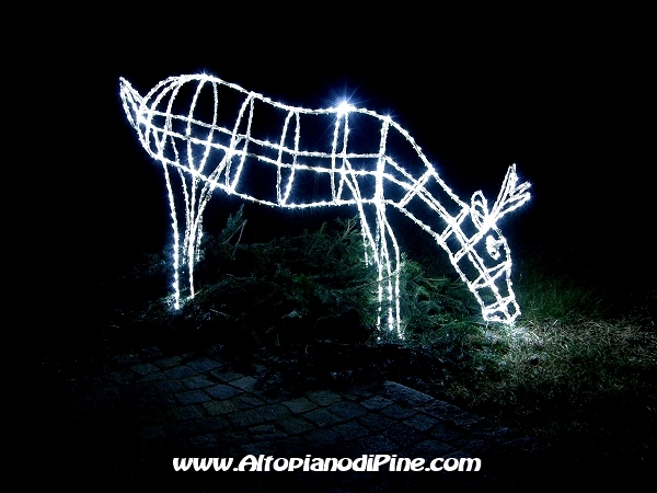 (8) Capriolo 1 - Statue di luce 2012 - Tressilla