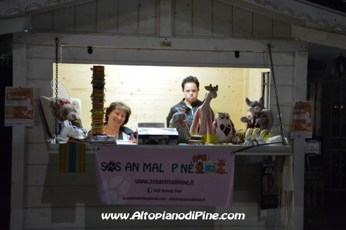 Pine' sotto le stelle 2014