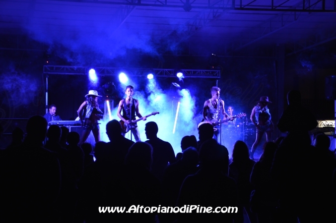 Pine' sotto le stelle 2014