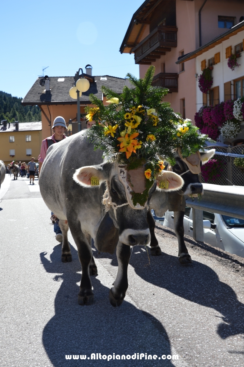 Desmalgada 2015 - Centrale di Bedollo