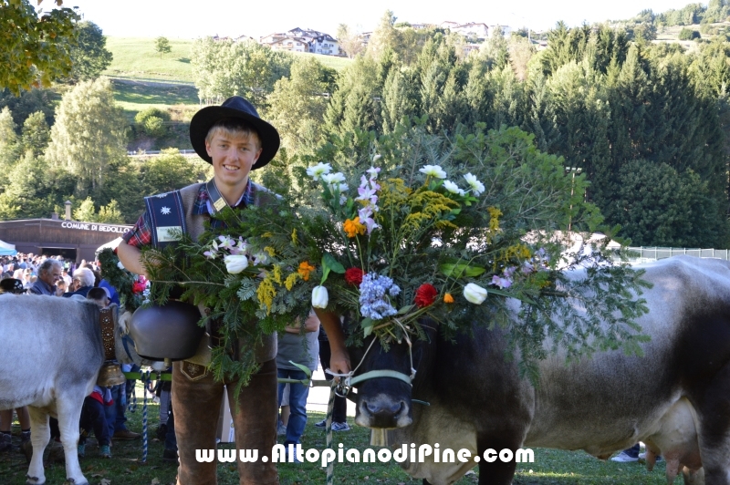 Desmalgada 2015 - Centrale di Bedollo