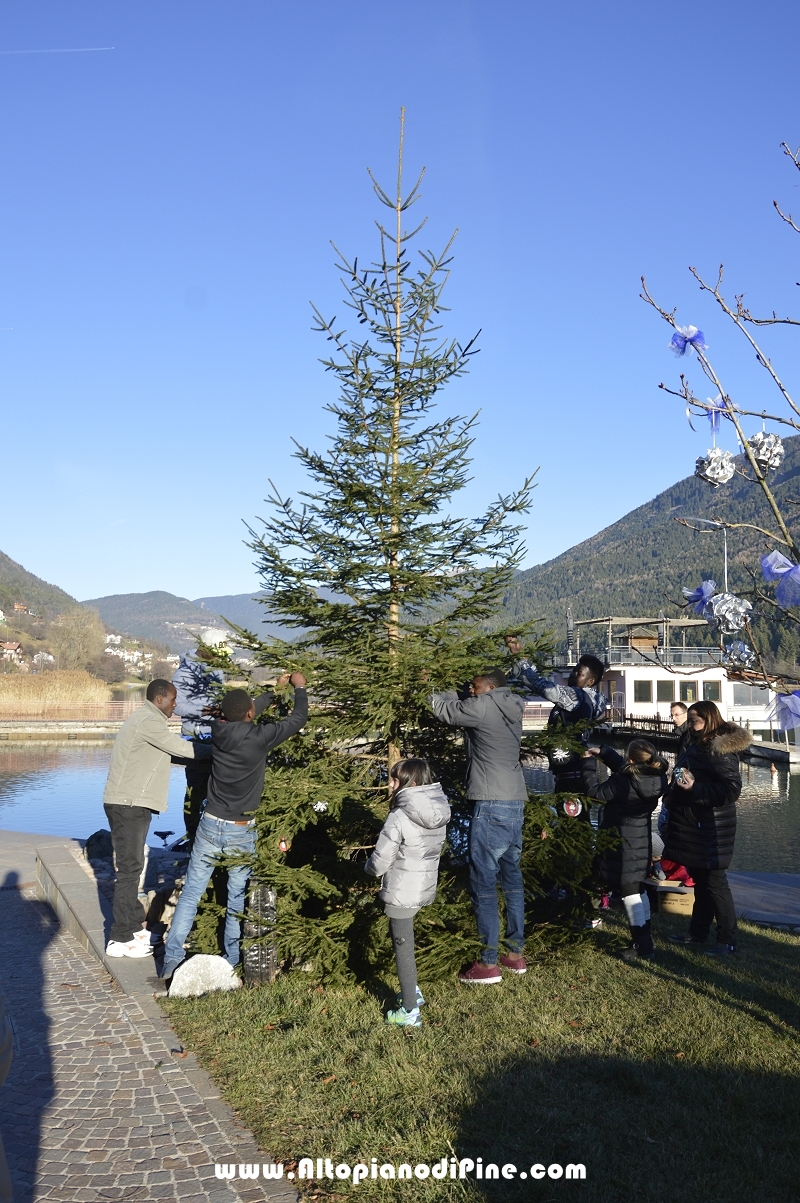 Albero di Natale della Biblioteca