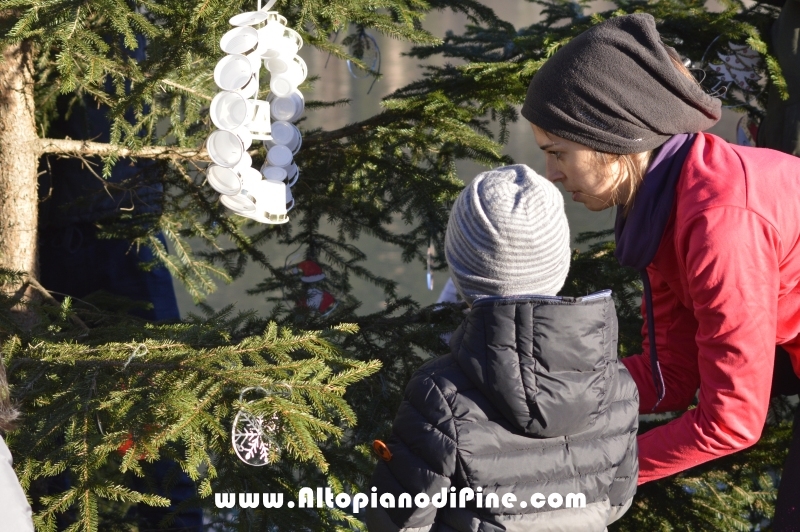 Albero di Natale della Biblioteca