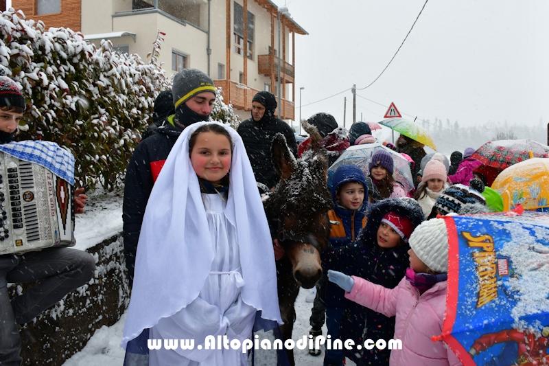 Tressilla S. Lucia 2019