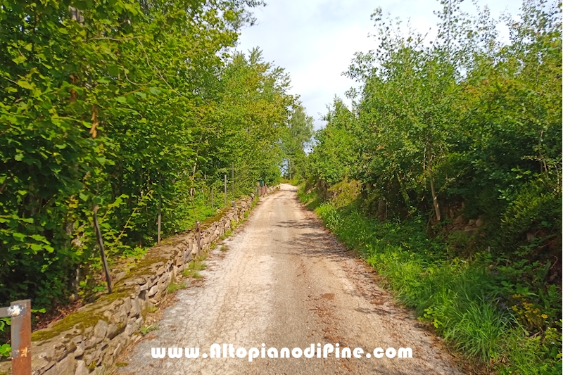 Giro del bosco delle Predolce di Tressilla