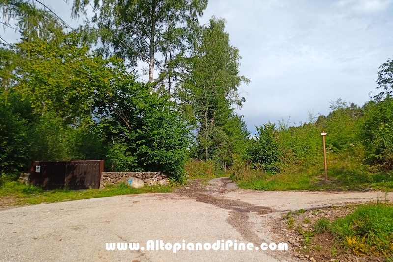 Giro del bosco delle Predolce di Tressilla