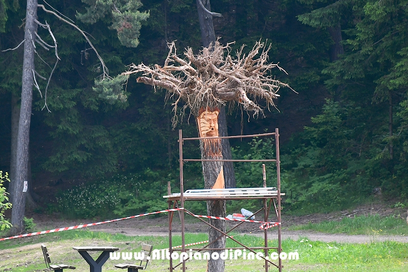 Albero sottosopra - opera di Emilio Picone - Bedolpian luglio 2024