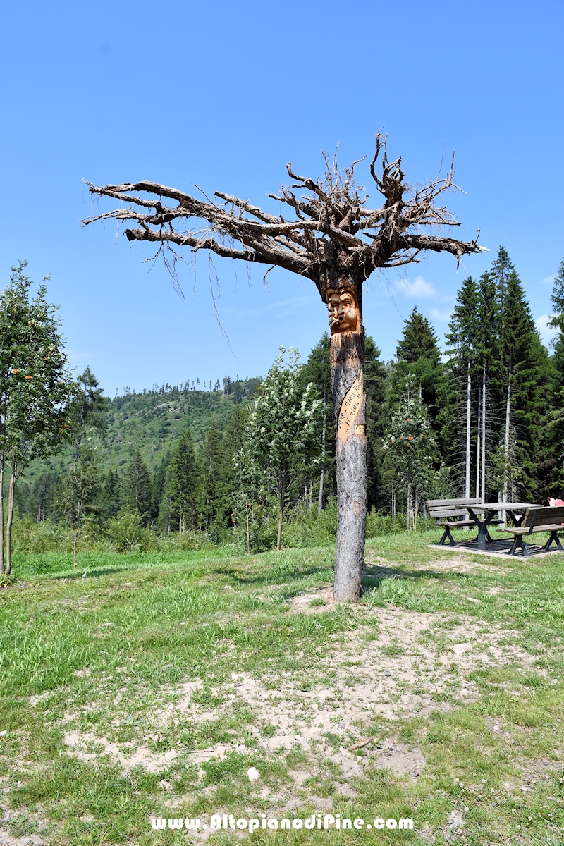 Albero sottosopra - opera di Emilio Picone - Bedolpian luglio 2024