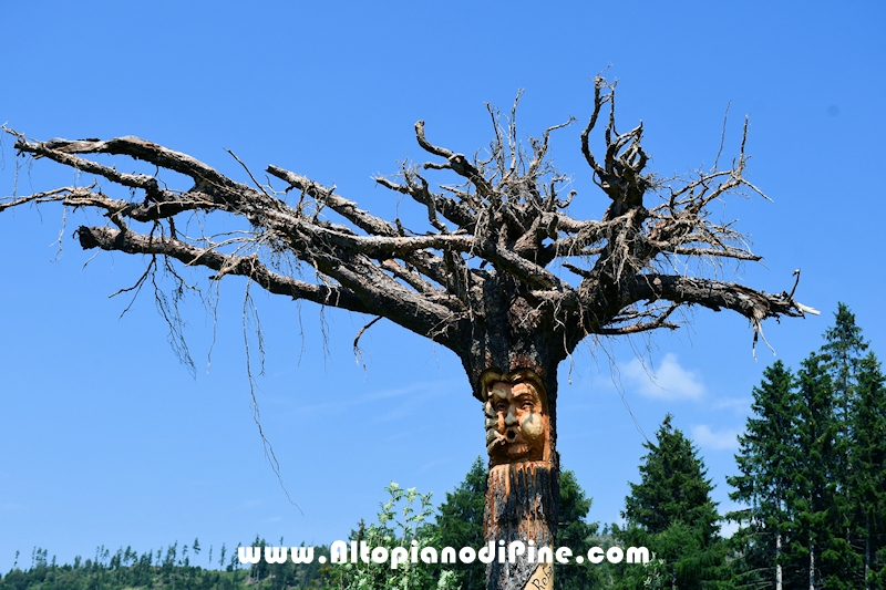 Albero sottosopra - opera di Emilio Picone - Bedolpian luglio 2024