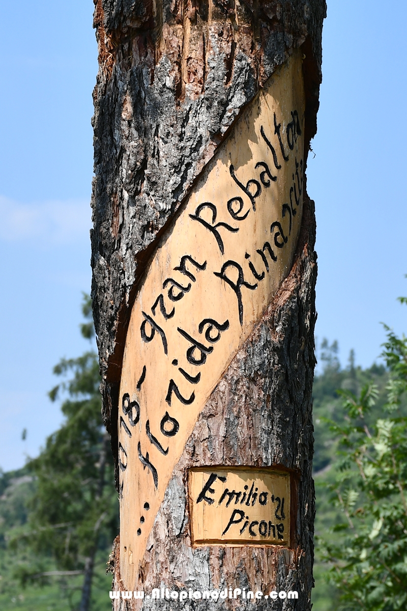 Albero sottosopra - opera di Emilio Picone - Bedolpian luglio 2024