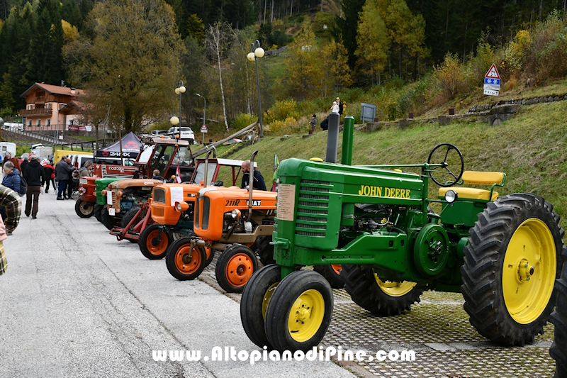 17  mostra provinciale Capra Pezzata Mochena - Centrale di Bedollo 2024