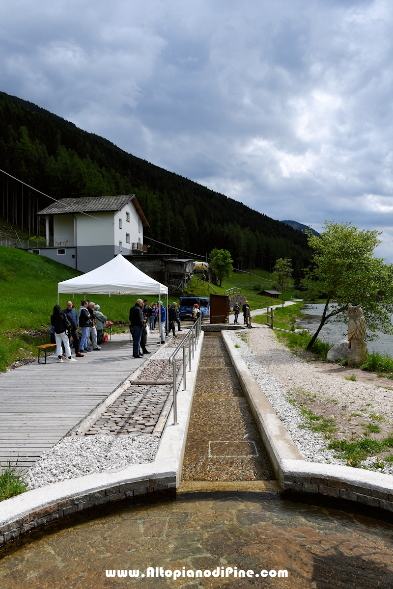 Brusago - inaugurazione percorso Natural Kneipp - maggio 2024
