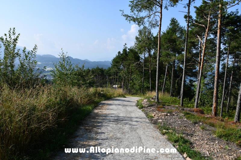 Passeggiata Bedolpian - Lago delle Rane - Tressilla