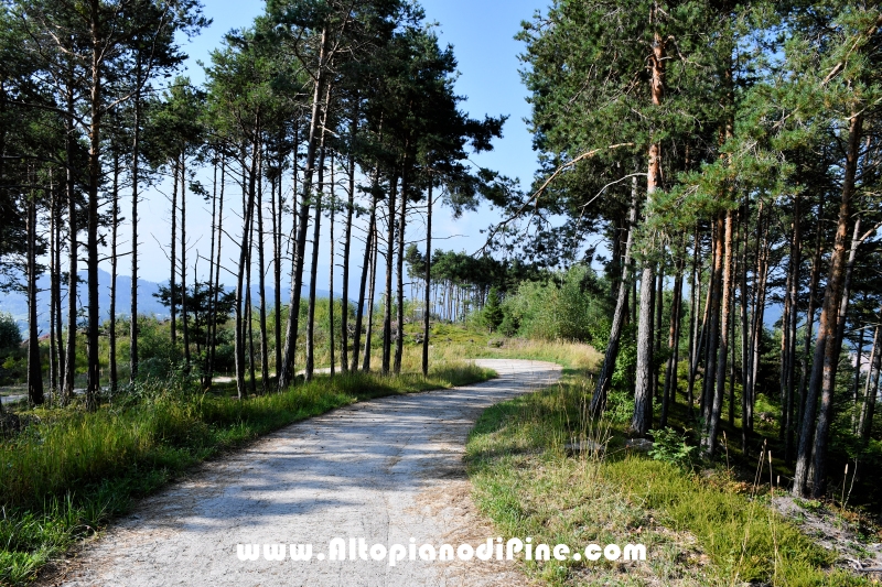 Passeggiata Bedolpian - Lago delle Rane - Tressilla