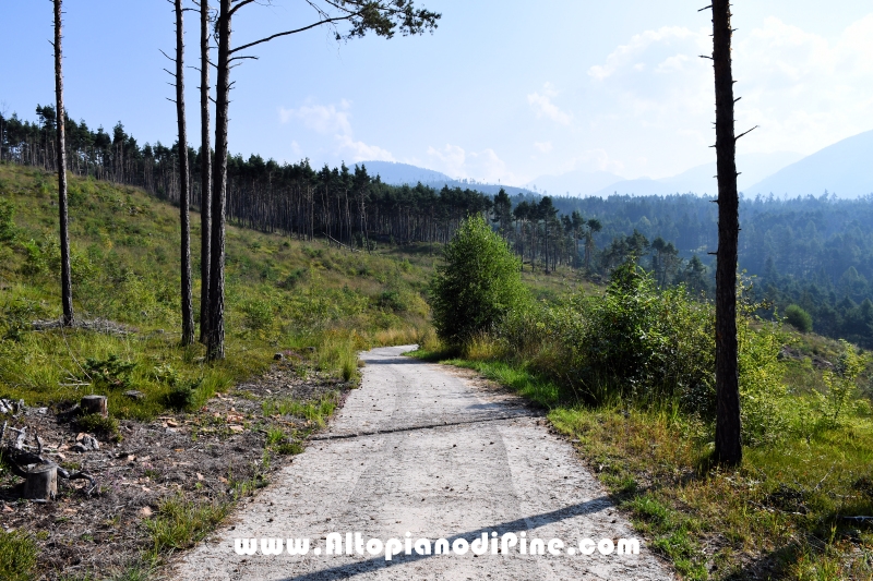 Passeggiata Bedolpian - Lago delle Rane - Tressilla