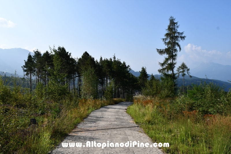 Passeggiata Bedolpian - Lago delle Rane - Tressilla