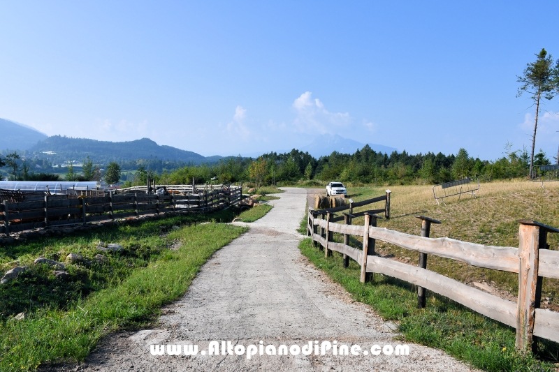 Passeggiata Bedolpian - Lago delle Rane - Tressilla