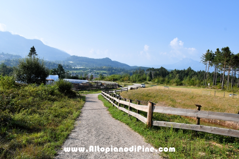 Passeggiata Bedolpian - Lago delle Rane - Tressilla