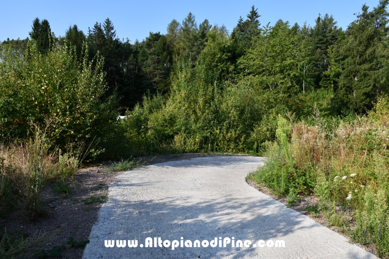 Passeggiata Bedolpian - Lago delle Rane - Tressilla