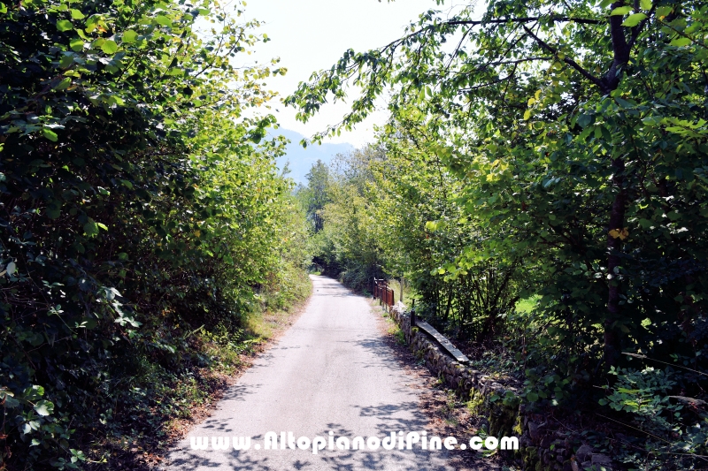 Passeggiata Bedolpian - Lago delle Rane - Tressilla