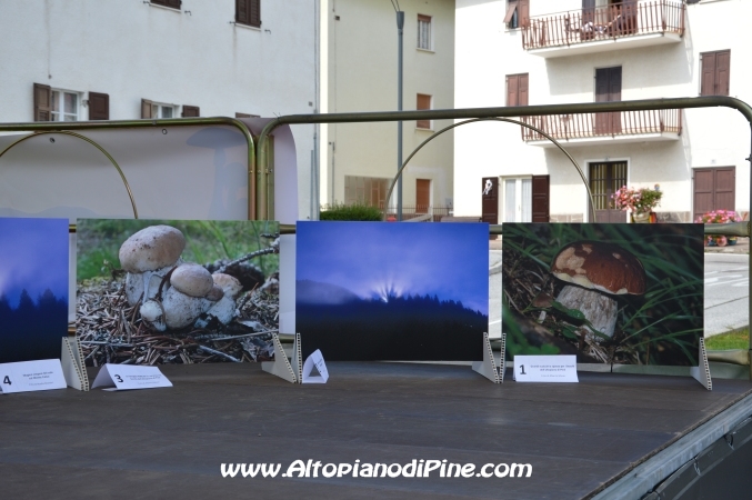 Fiera del fungo - Baselga di Pine' agosto 2014