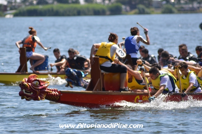 Dragon Festival 2014 - Baselga di Pine'