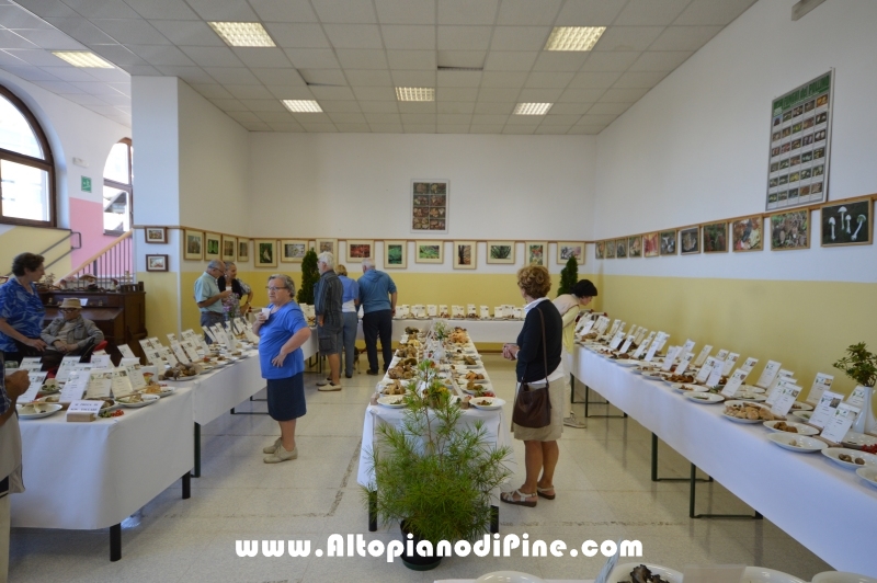 Mostra dei Funghi 2016