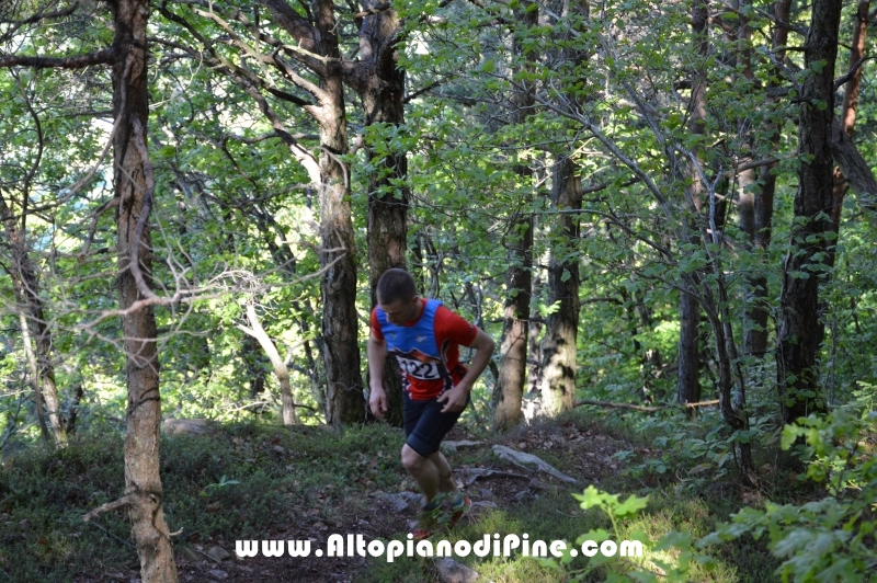 17 trofeo Fiorella e Luca - Tressilla 15 maggio 2016